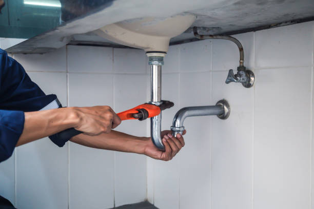 Best Plumbing Inspection Services  in Kingsville, TX
